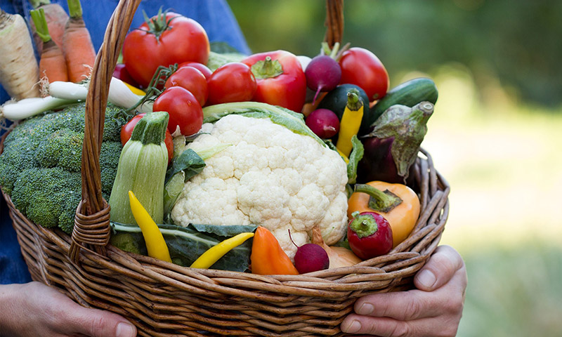 تی شرت جیبی - تصویر 4